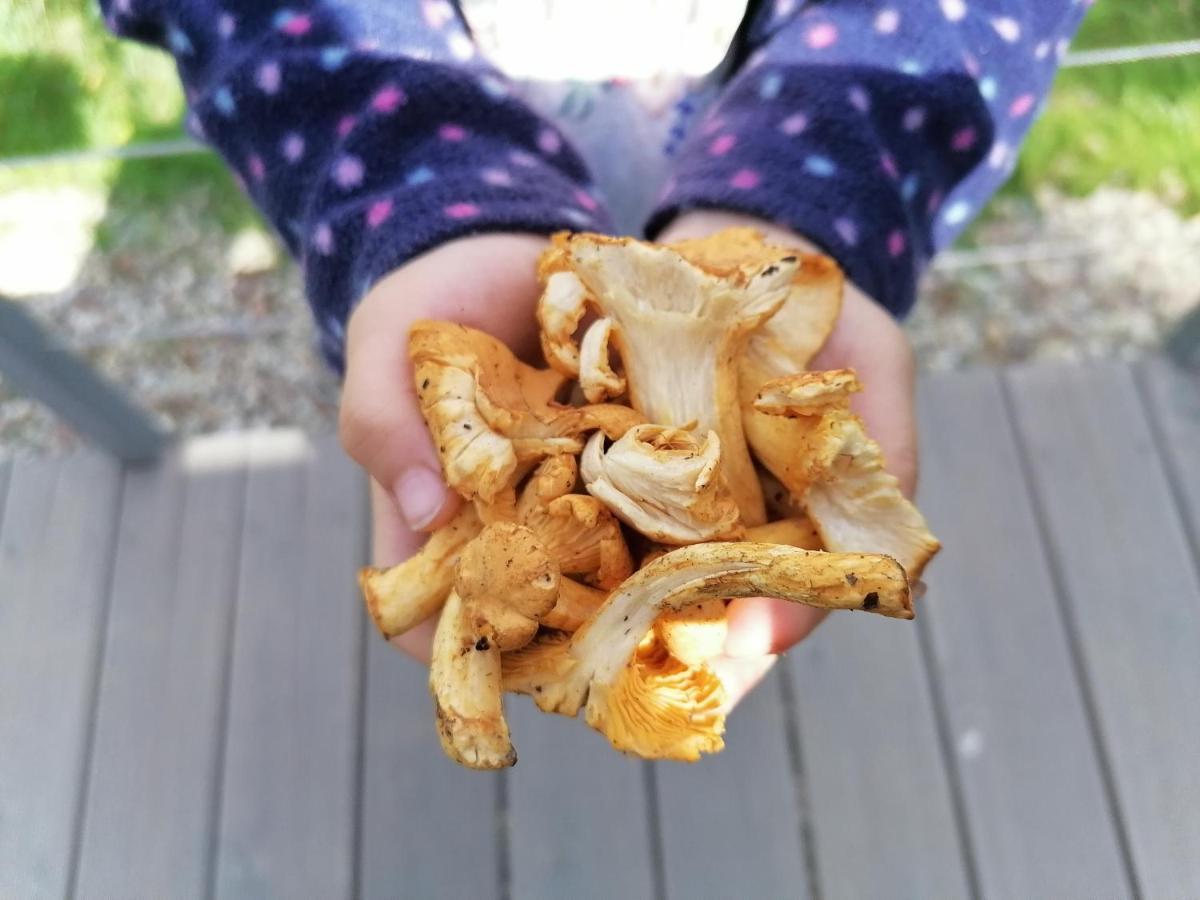 Swierkocin  Rudle 빌라 외부 사진